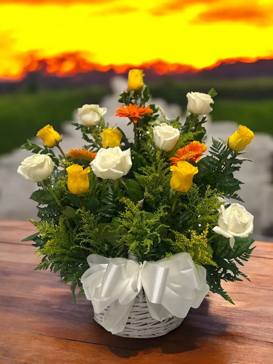 Yellow & White Roses