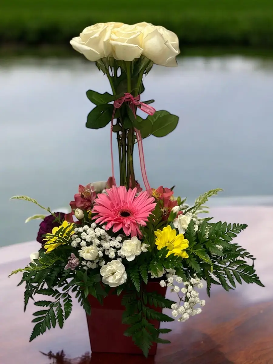 White Roses Above